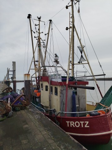 Außenhafen Hooksiel - gegenüber gibt's Fischbrötchen