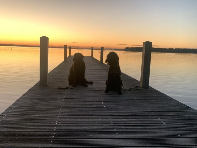 Steg bei Sonnenuntergang