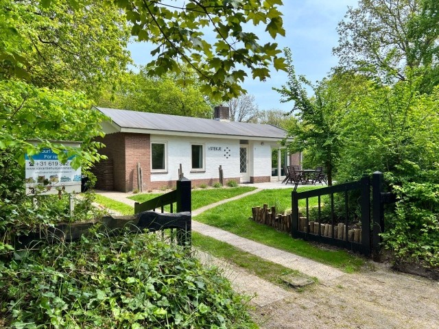 Das gemütliche Ferienhaus