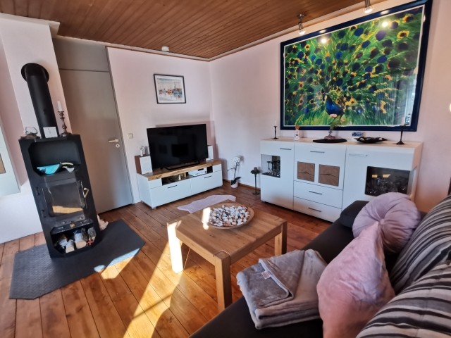Wohnbereich mit Smart-TV und Kaminofen