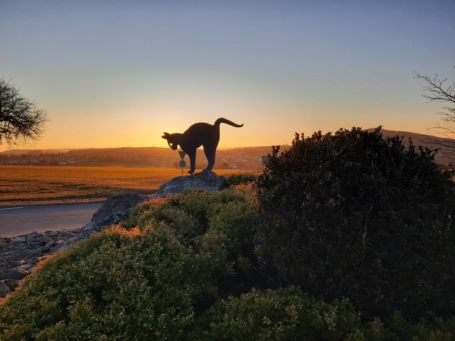 Blick auf den Katzenbuckel