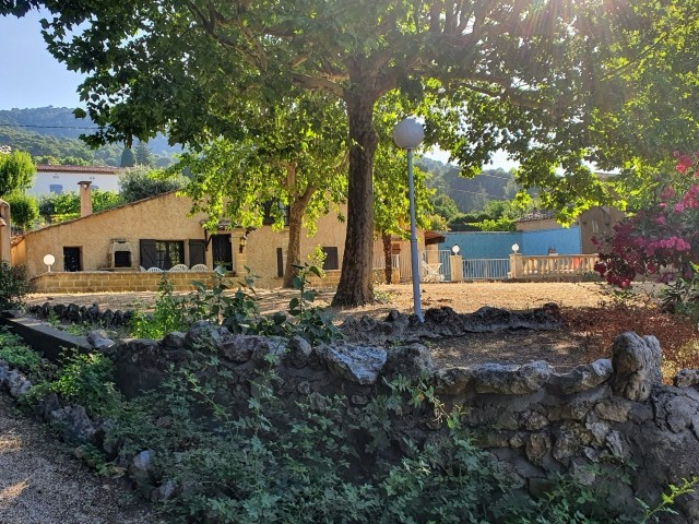 Haus