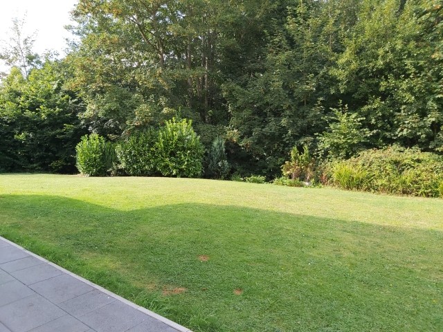 Förde Koje