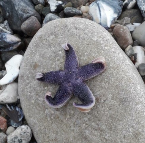 Urlaub am Meer...