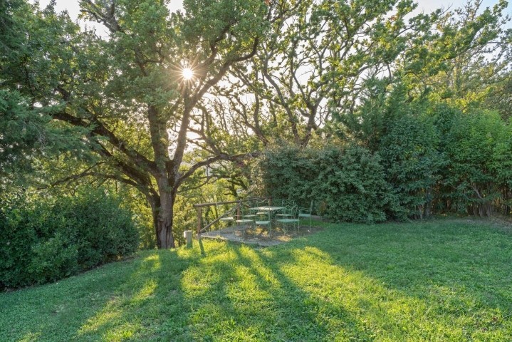 Garten