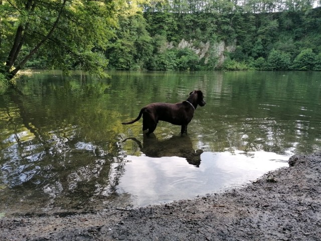 Taferlsee