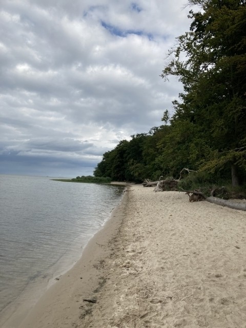 Bodden