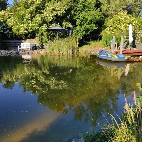 Schwimmteich 