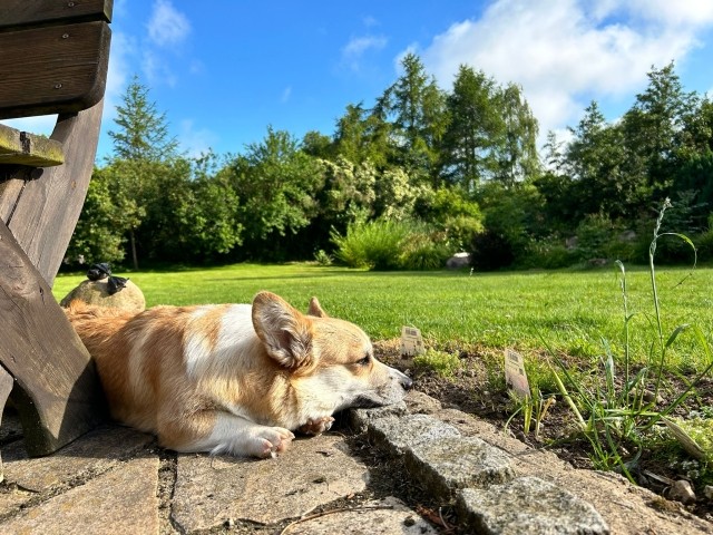 Chillen im Garten