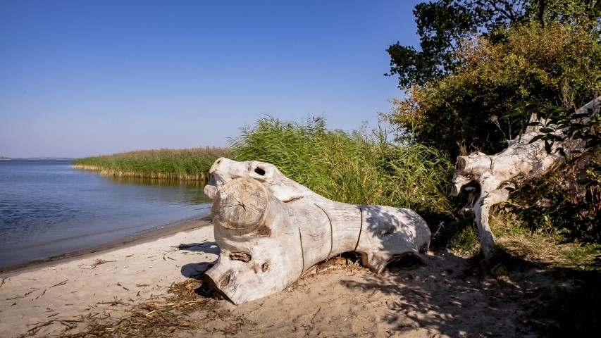Lieper Winkel - Badestelle in der Nähe vom Lerchenhof 