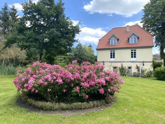 Das Haus gegenüber