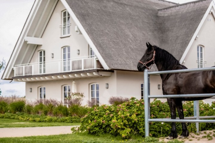 Lerchenhof Reestow - Urlaub mit Pferd