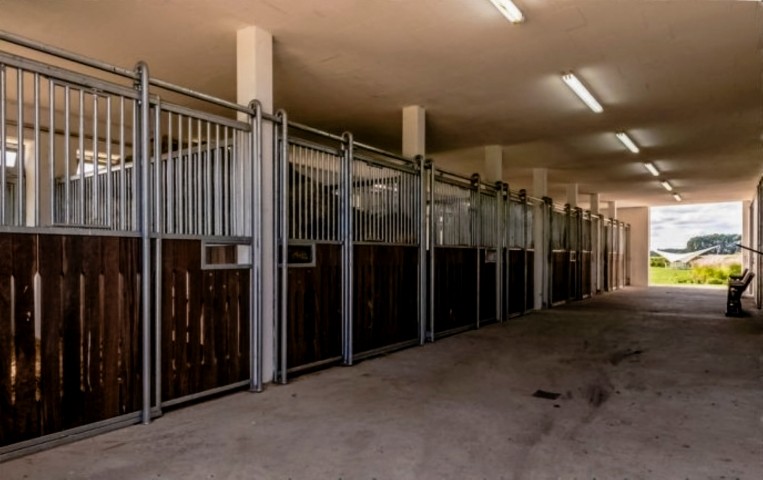 Lerchenhof Reestow - 8 Einstellboxen für Pensionspferde