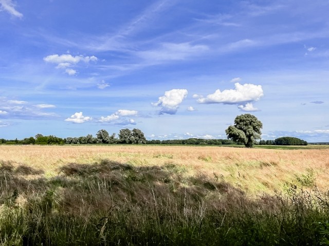 Umliegende Felder 