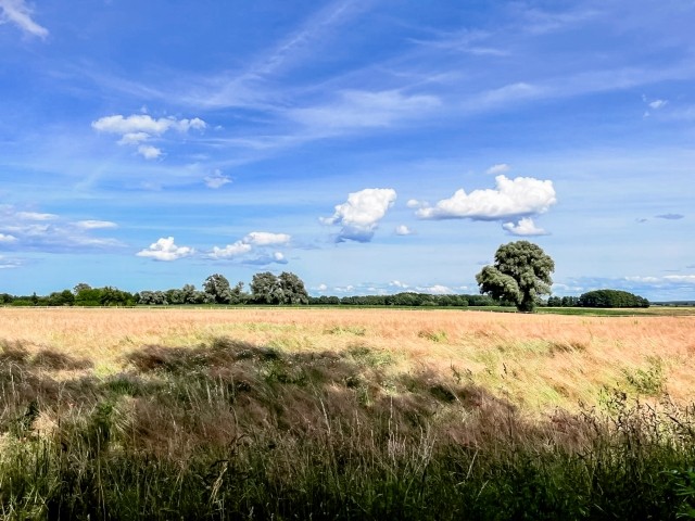 Umliegende Felder