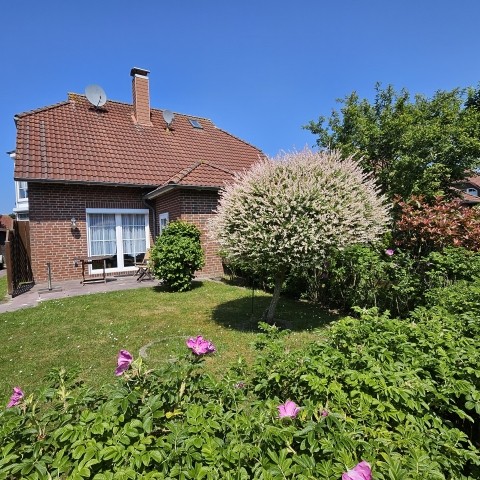 Gartenbereich