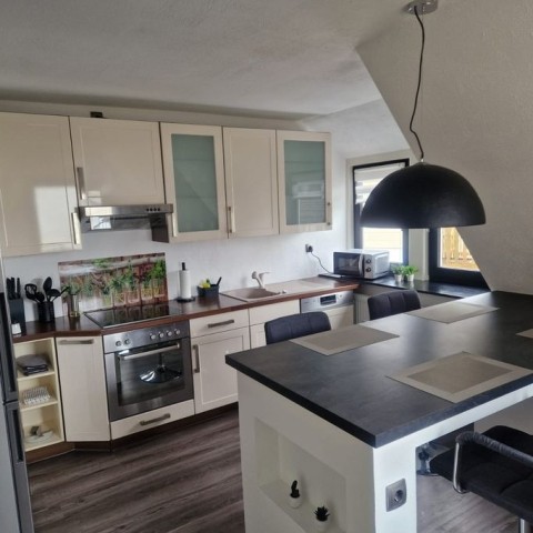Voll ausgestattete Küche mit Spülmaschine, Backofen, Mikrowelle