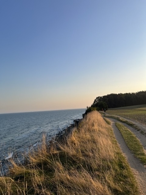 Steilküste zwischen Bliesdorf und Grömitz