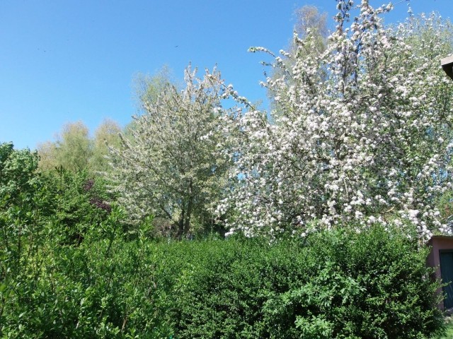 Blick vom Balkon