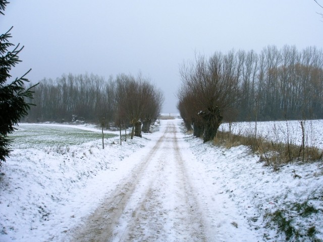 Strandweg im Winter