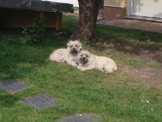 Emmy und August