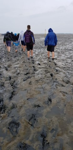 Wattwanderung