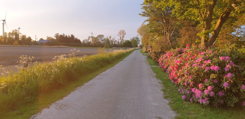 Holtriem-Wanderweg vor dem Haus