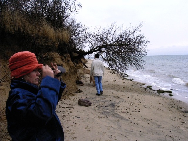 Herbstspaziergang am Strand