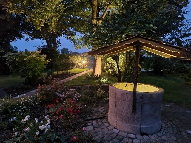 Abendstimmung im Garten