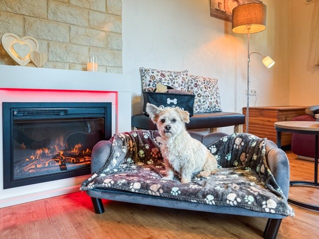 Elektrokamin und Hundebett zum wohlfühlen