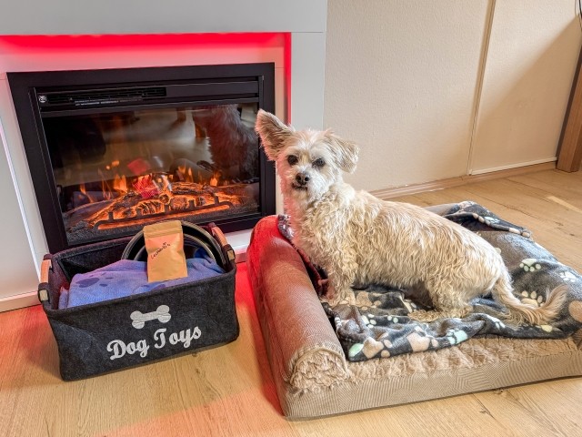 Elektrokamin und Hundebett zum wohlfühlen