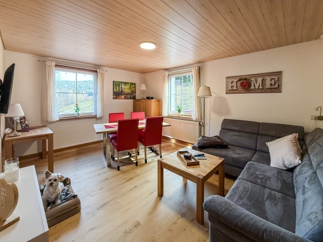 großes gemütliches Wohn-Esszimmer