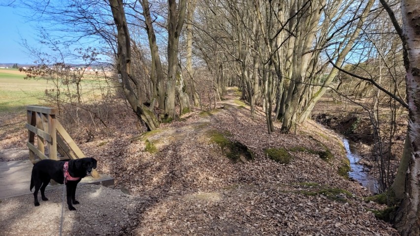 Gassigelände
