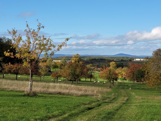 Gassigelände