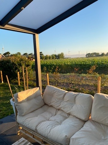 Morgens Blick auf das Feld genießen 