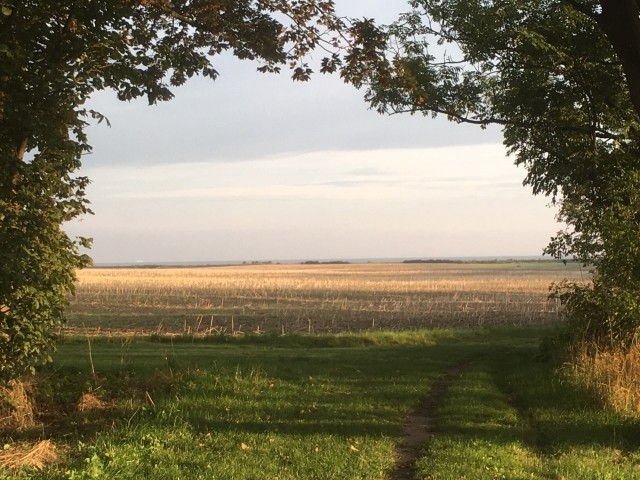 Herrlicher und kurzer Fußweg zum Strand der Geltinger Bucht.