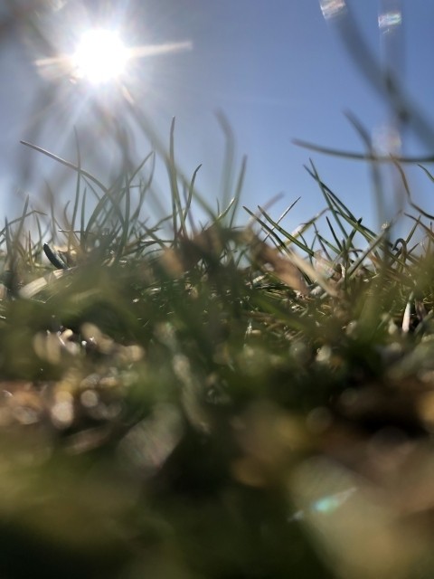 Schönes Bild