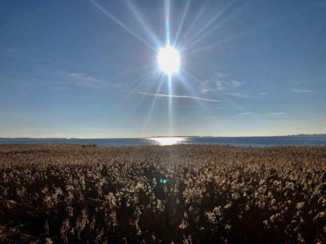 Vor der Haustür (100m)  mit Blick auf Hiddensee