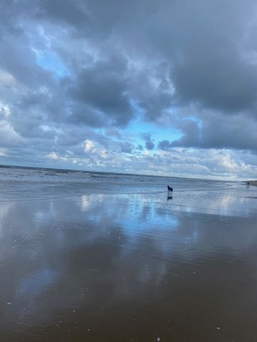 Strandimpressionen