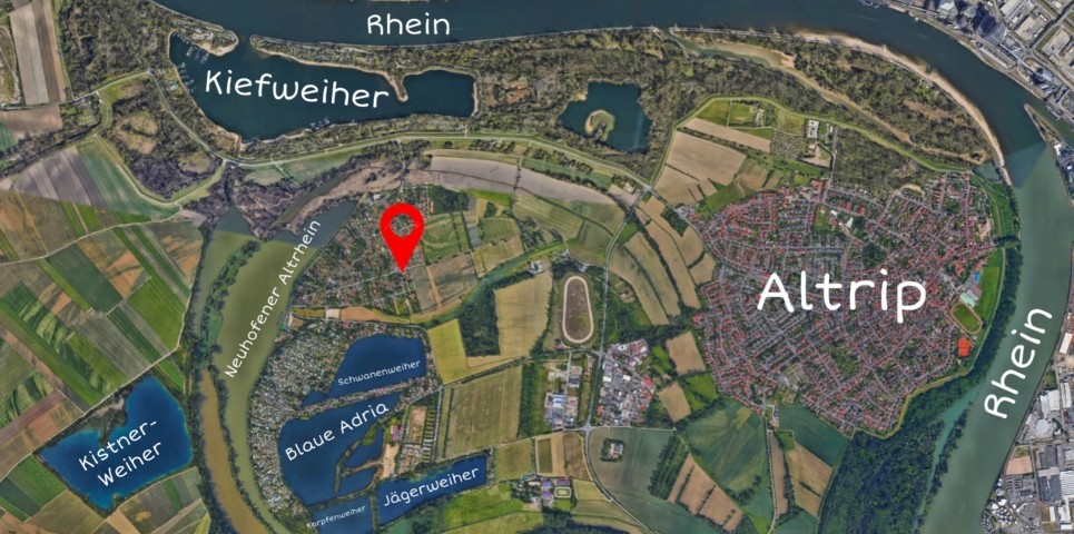 Hier bist du