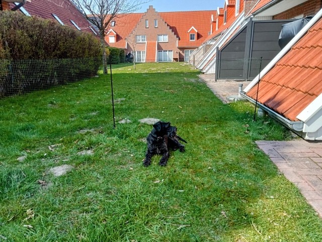 Mobiler Hundezaun