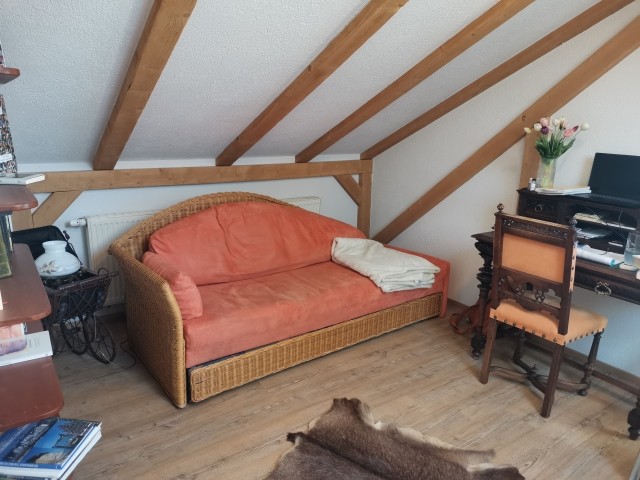Ausziehbare Couch in der Bibliothek