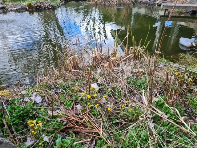 Frühling!!!