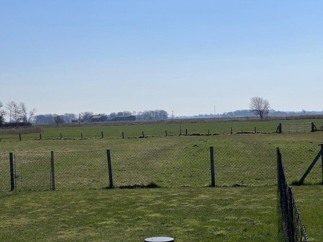 Blick ins Grüne