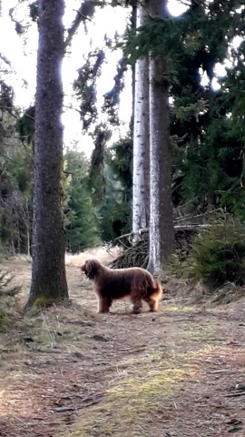 Kurze Wanderrunde oder Weitwanderweg? Alles ist hier möglich