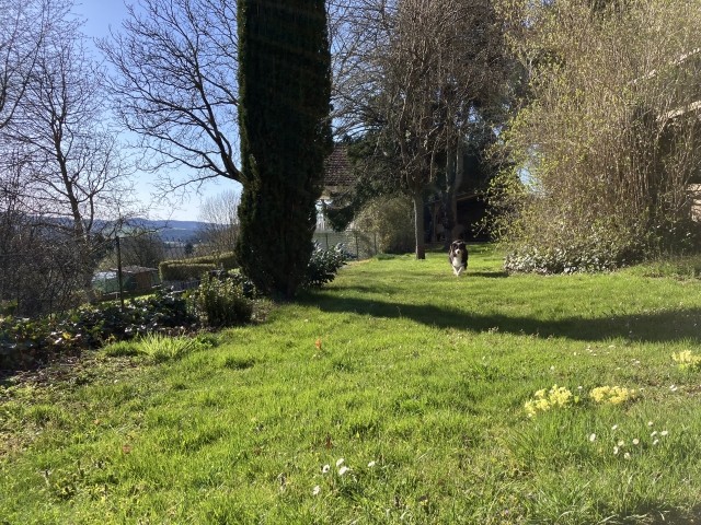 Garten (komplett umzäunt)