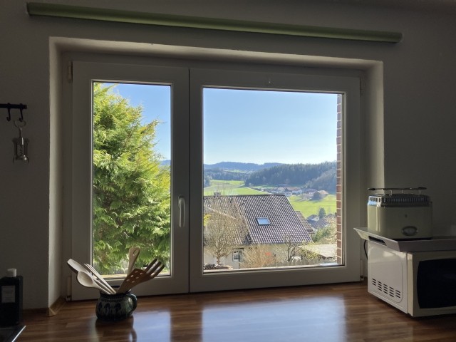 Blick aus der Küche