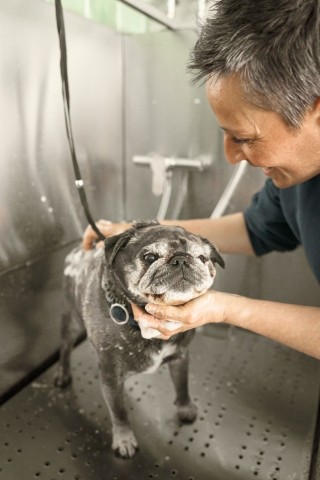 Hugo in der Dusche