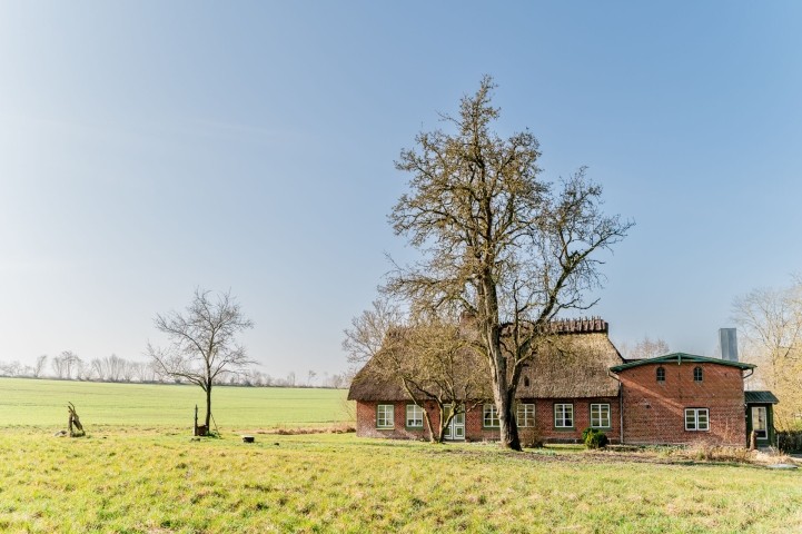 Reethus Mühlenlund umgeben von Feldern
