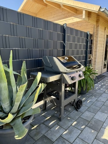 Weber-Grill